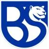 布雷斯西亚联合